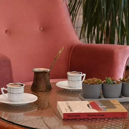 Lejlighed 2br Unique Terrace 2 Ac In Beyoglu Galata *