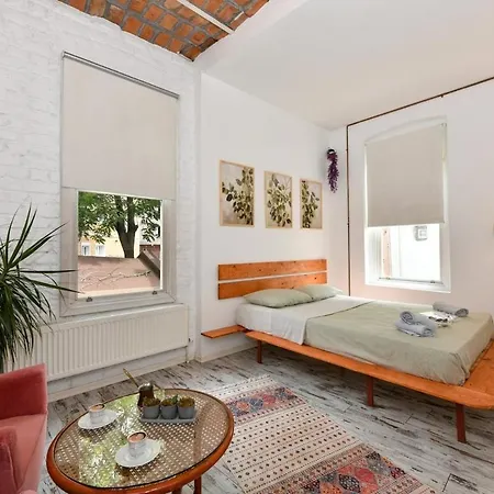 2br Unique Terrace 2 Ac In Beyoglu Galata Lejlighed Istanbul