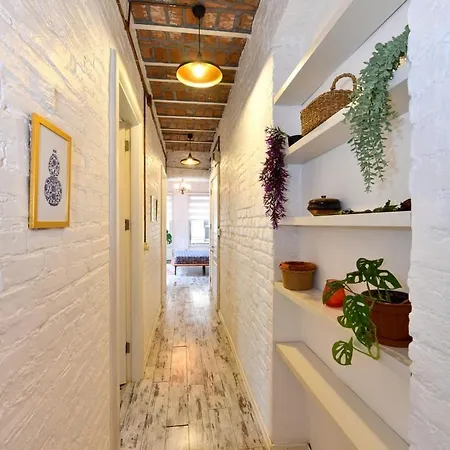 2br Unique Terrace 2 Ac In Beyoglu Galata