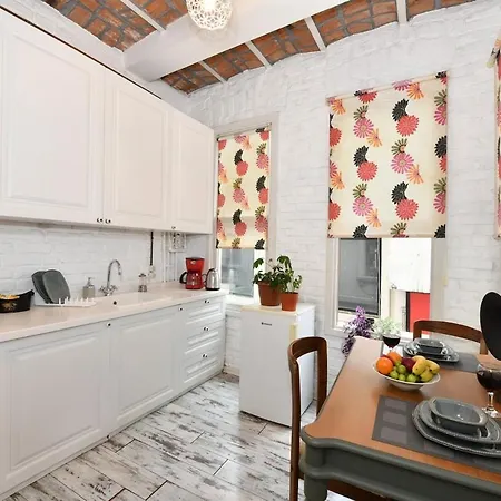 Lejlighed 2br Unique Terrace 2 Ac In Beyoglu Galata Istanbul