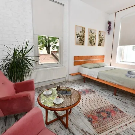 2br Unique Terrace 2 Ac In Beyoglu Galata Istambul