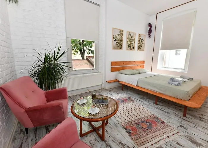 2br Unique Terrace 2 Ac In Beyoglu Galata اسطنبول